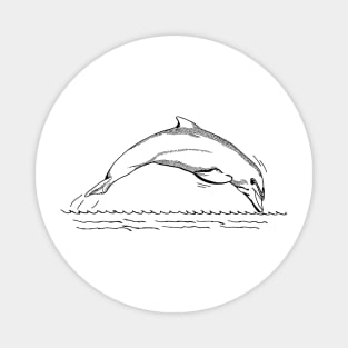 Cute Dolphin sketch Magnet